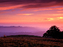 Russian Ridge