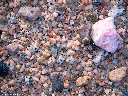 Pebbles on beach, Cabo