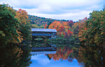 New Hampshire foliage