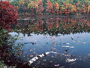 New Hampshire Fall Foliage reflection