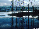 Yellowstone Lake