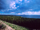 Yellowstone Lake